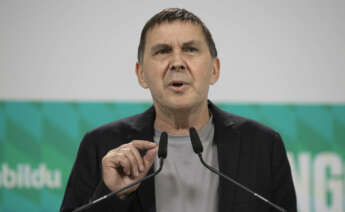 El coordinador general de EH Bildu, Arnaldo Otegi. EFE/Javier Etxezarreta