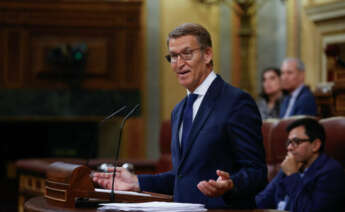 El presidente del PP, Alberto Núñez Feijóo. EFE/Juan Carlos Hidalgo