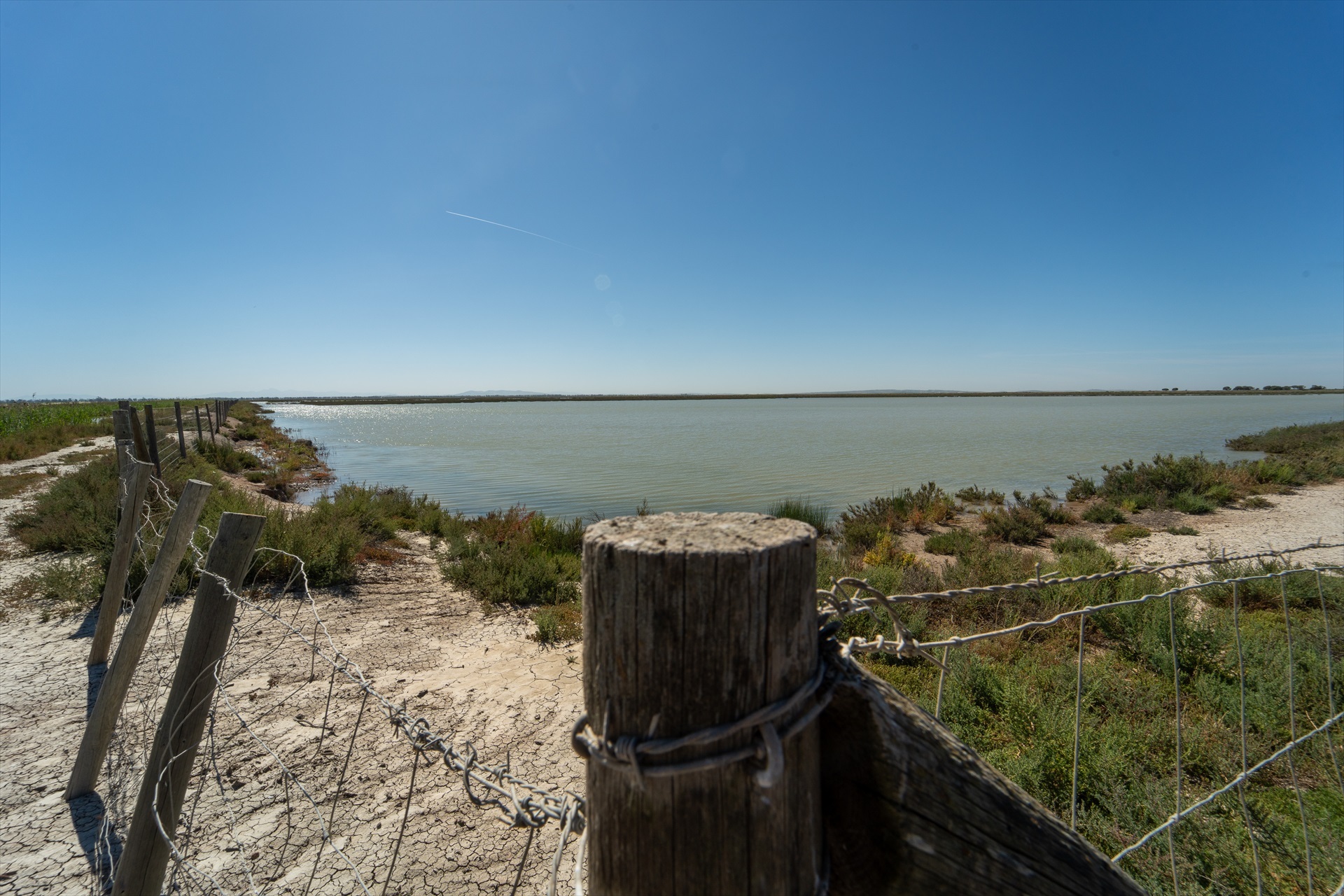 Imágenes de los terrenos de la finca 'Veta la Palma', a 24 de abril de 2024, en La Puebla del Río, Sevilla.