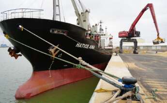 El buque Hatice Ana, a su llegada a la nueva terminal del Puerto de Sevilla.