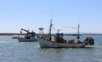 Barcos de pesca.