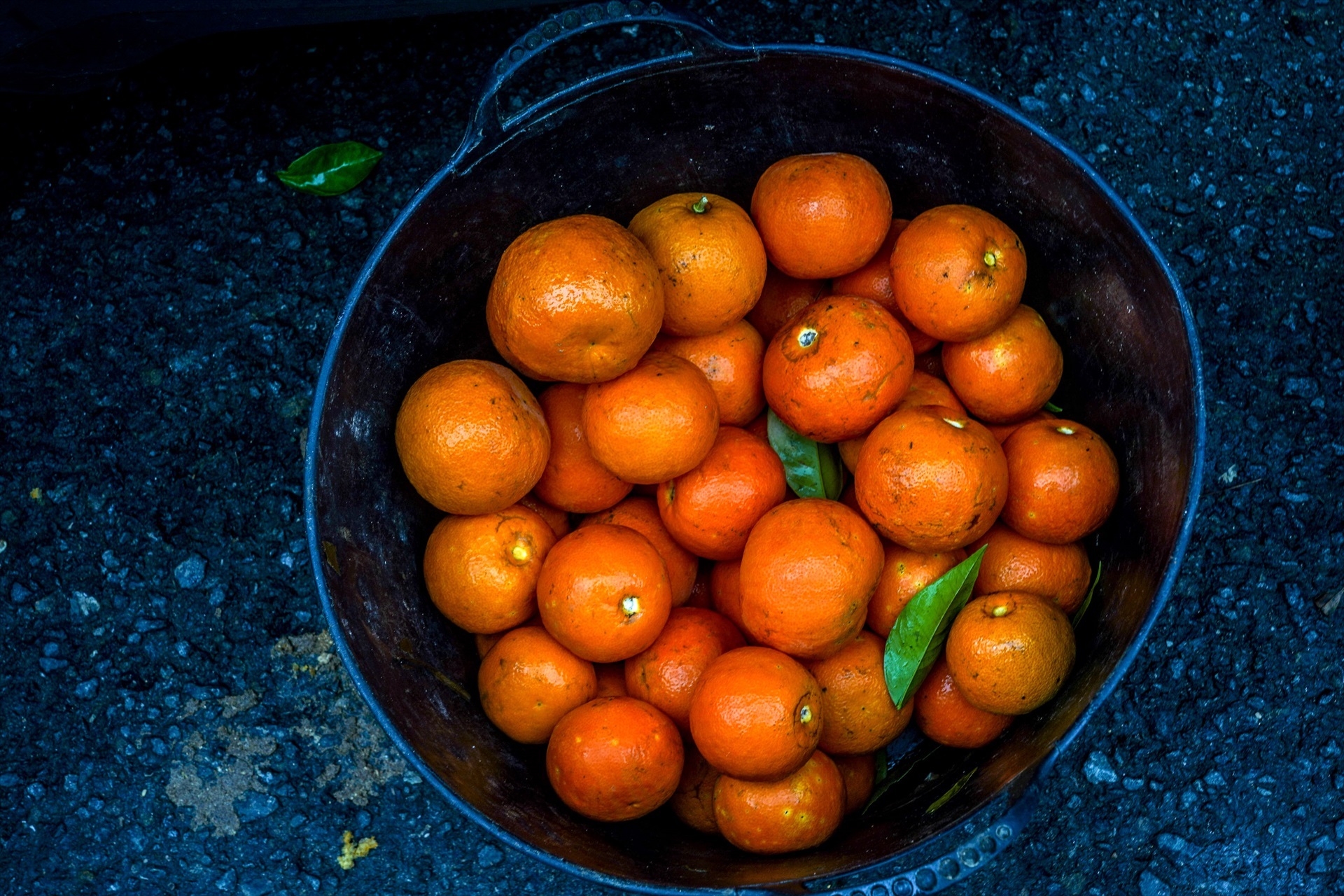 Naranjas recogidas en Sevilla